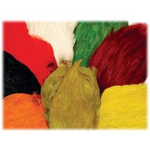 Cuello De Gallo Indio Tof Grade Aa 1002813
