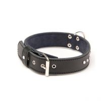 Dog Collar Leather Alter Ego Class 3007499