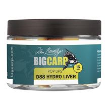 Drijvende Boilie Big Carp Pop-ups D88 Bc-pop-503-16