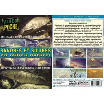 Dvd - Sandres Et Silures En Milieu Naturel Decouvrez La Vie Des Sandres Et Des Silures Sandres Et Silures En Milieu Naturel