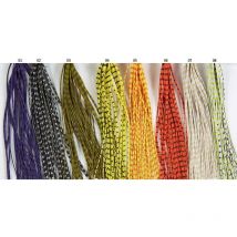 Elastico Jmc Elastipatte Ft02405b