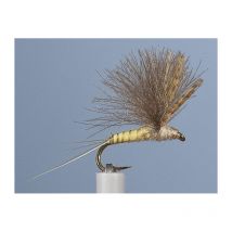 Emerger Jmc Emergente 25 Mo00648