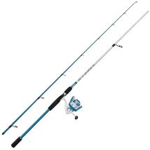 Ensemble Spinning Mitchell Neuron Sw Ii Spin Combo 1637913 - Pour Pêche en Mer - Pêcheur.com