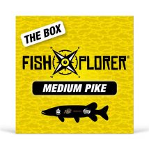 Entdeckungsbox Fishxplorer Pike Addict Medium Fxp-boxpikemed