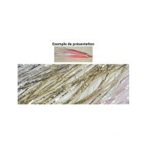 Faser Tof Reflet D'ecaille 50 Cm01 M 1006185