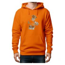 Felpa Uomo 4 Epagneuls - Arancione Bartavel 4 Epagneuls - Orange Sweatcapuchehoodieorange-t546-m