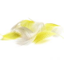 Flanc De Canard Devaux Dvx Marron - Pour Pêche à la mouche - Pêcheur.com