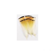 Flangia Di Fagiano Dorato Naturale Jmc Ft00430