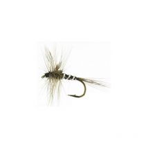 Fly Autain Spider - Pack Of 12 718500101