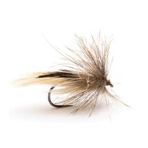 Fly Devaux Sedge Tricoptheres Jbp17 Jbp17h16