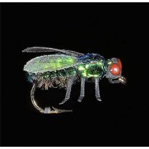 Fly Jmc Insectes Réalistes Noire Mo02194