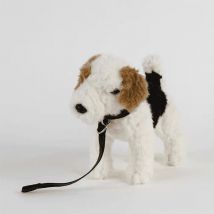 Fox Terrier Nature De Brenne K20644