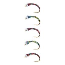 Gambe Stucki Fishing Mod.2 525751