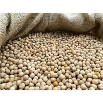 Graine Poseidon Particles Pois 2l