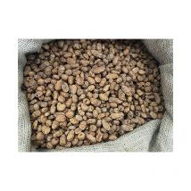 Graine Poseidon Particles Tigernuts Xxl 5l