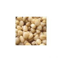 Graine Préparée Particles For Fishing Maïs Blanc 3kg