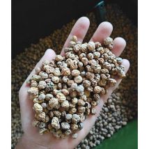 Graine Sèche Tigernuts Standard - 10kg Sac 10kg Sec - Pêcheur.com