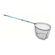 Guadino Autain Tolede 200200009