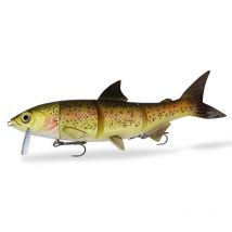 Gummifische Montiert Fishing Ghost Renky One - 25cm Hy-ro-25-ba