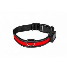 Halsband Eyenimal Lumineuse Ub Rechargeable Num785