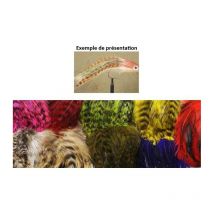 Hanenveer Tof Hackle Stream Grizzly 1003903