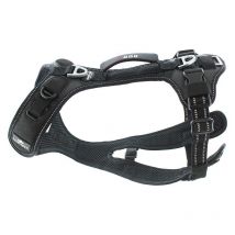 Harnais I-dog Raidlight Cani-trail S