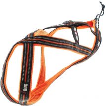 Harness I-dog Canicross X-back One Cy0902
