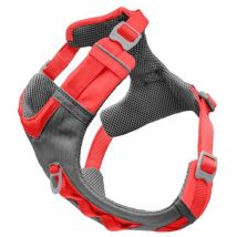 Harness Kurgo Journey Air Cy0392