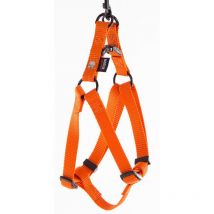 Harness Harness Martin Sellier - Orange 12021.7