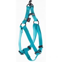 Harness Harness Martin Sellier - Turquoise 3005256