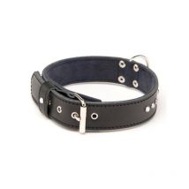 Honden Halsband Leer Alter Ego Class 3007508