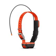 Hondenhalsband Garmin Supplémentaire De Reperage T20 F Gafcolliert20