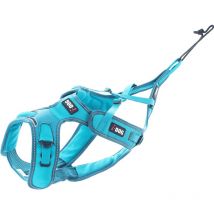 Imbrago I-dog Canicross X-back Phoenix Réglable - Bleu I06bxl