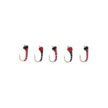 Kit De 5 Mouches Stucki Fishing Nymphe Finehead 525635 - Pour Pêche à la mouche - Pêcheur.com