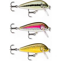 Kit Poisson Nageur Rapala Artistic Ra8920001 - Pour Pêche de la Truite - Pêcheur.com