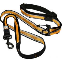 Lass Es Kurgo Quantum Cy0809