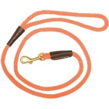 Lead Europ Arm Snap Hook Ch5550