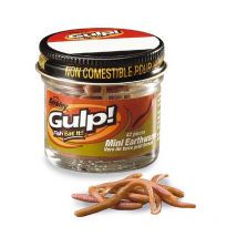 Leurre Souple Berkley Gulp! Mini Earthworm - 3cm - Par 42 1102713 - Pêcheur.com