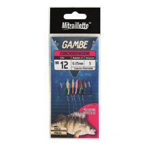 Ligne Montée Ragot Zurichseehegene Rg4414008 - Pêcheur.com