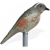 Lokvogel In Kunststof Stepland Hd Grive Mauvis Slapo133-sans-sans-as36