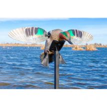 Lokvogel Mojo Elite Series Green Wing Sarcelle 510411