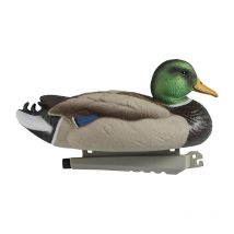 Lokvogel Stepland Colvert Male Ultra Hd Mousse - Partij Van 6 Phapc001-sans-pas-ass6