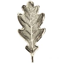 Lourde Feuille Massive De Présentation De Défenses De Sanglier - Feuille De Chêne X5 - Fritzmann Fritzmann 33326-06