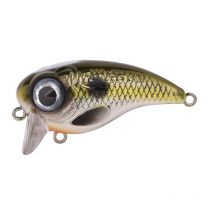 Schwimmköder Spro Fat Iris 50 - 5cm 004867-02106-00000