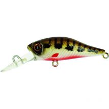 Leurre Flottant Adam's Shad 34f - Mr - 3.5cm 034