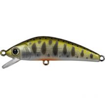 Leurre Coulant Forest Ifish Ft 50s - 5cm 05