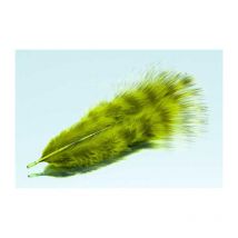 Feather Tof Minibou Grizzly 1005788