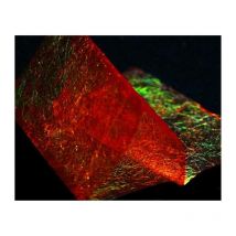 Fibra Tof Fine Flash Back 1007241