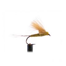 Mosca Tof Ephémère Cdc Pardo - Olive 1007674