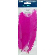 Strauss Tof 1018001